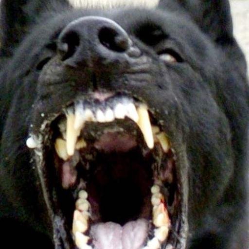 tweetstar10's profile picture. Pillsbury Dough Boy fetishist