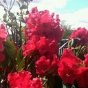 Ursula James - @ursjam2 - Twitter