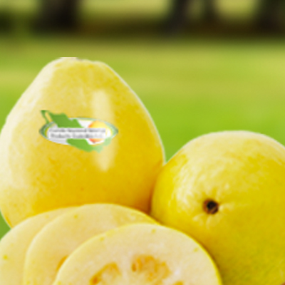 MexicanGuava's profile picture. Una guayaba al día te brinda salud y alegría #MexicanGuava