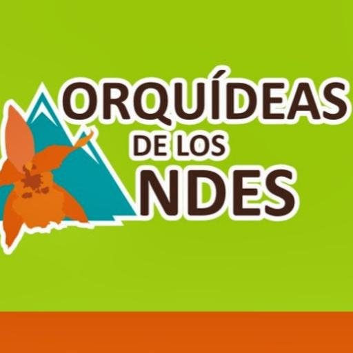 orquideas_andes's profile picture. Orquídeas de los Andes es un cultivo ubicado en Supatá, Cundinamarca,  con una producción mensual de 150 plantas en promedio, somos vendedores  minoristas