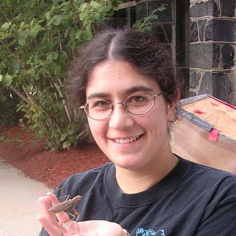 Social insects, respirometry, pollination, physiology and pedagogy at Roosevelt University.