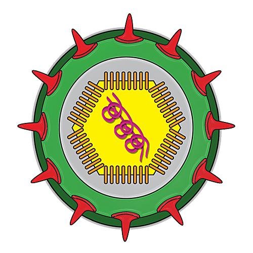 75% of Americans Test Positive for Herpes Simplex Virus.  You'll Want To Read Our Posts About Scientifically Credible Breakthroughs in Non-Drug Viral Defense.