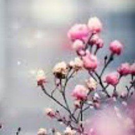 Be everything for yourself ...❤♥