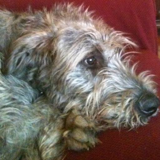 PossiblyMortal's profile picture. "I saw behind me those who had gone, and before me those who are to come... And their eyes were my eyes."