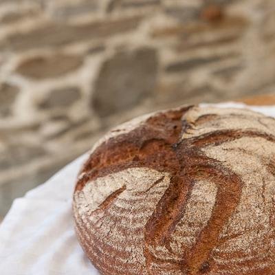 Greta Great Grains is baking organic & wholesome breads at Chococoa at The Tannery in Newburyport!