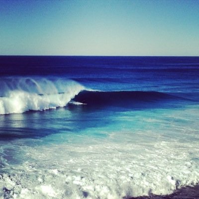 bushandocean