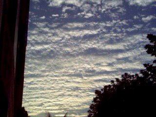 0qri21u's profile picture. 하늘 구름.. 좋은 하루!