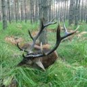 caleb welch - @Calebww99D - Twitter