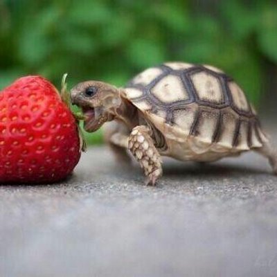 mathy_vers's profile image