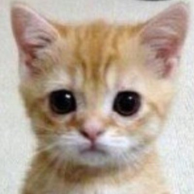 116回 🌸(๑❛ᴗ❛๑)やっと専攻医