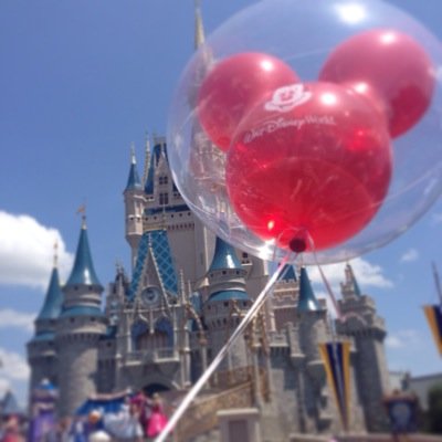 shrimpyshrew's profile picture. 