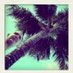 Mathias H (@mhammargard) Twitter profile photo