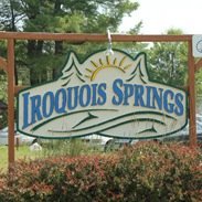 the daily problems of campers at iroquois springs