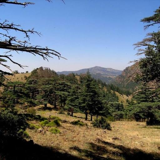 alexis_anis's profile picture. Love kiss