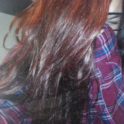 sxmirwin's profile picture. punk rock bands who arent punk rock