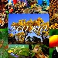 Eco Bio é um projeto de conservação, proteção e restauração da fauna e flora brasileira, o projeto também abrange a conscientização da população sobre os temas.
