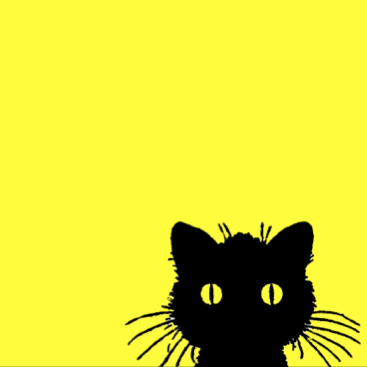 mekgz's profile picture. 