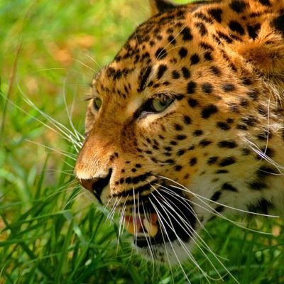 HGuerroumi's profile picture. 