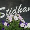 Stidhamracing's profile picture. This is the official Twitter account for Dubai World Cup winning trainer Mike Stidham. https://t.co/KAdLK4EL7a