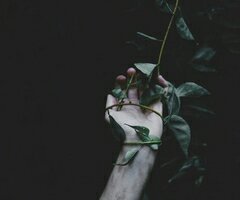 Je suis en chute libre en attendant la mort. || Agathe, Sam, Manon, Claudia ||