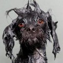 bryan hanson - @BryanHanson1111 - Twitter