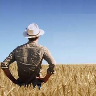 Gerente Comercial Virtual da Consultoria que mais cresce na gestão de projetos para o agronegócio - Vem ser CriativeAGRO