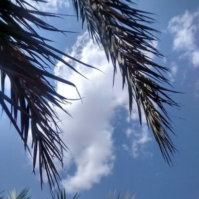 S_ALQUDAYRI's profile picture. لا إله إلا الله