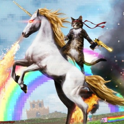 The weirdest things on the internet, all in one place!