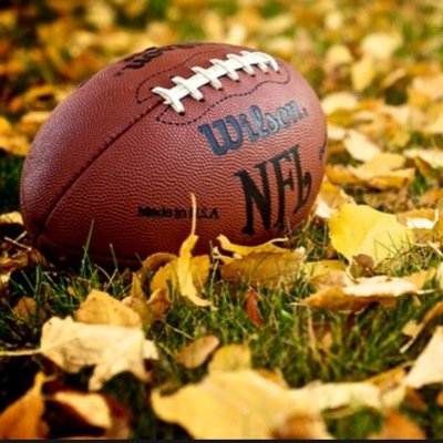 We only follow back legitimate NFL fans -- NO bots. NO spammers. #NFL #NFLFollowbacks