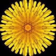 Psychotherapist 
412-501-3281