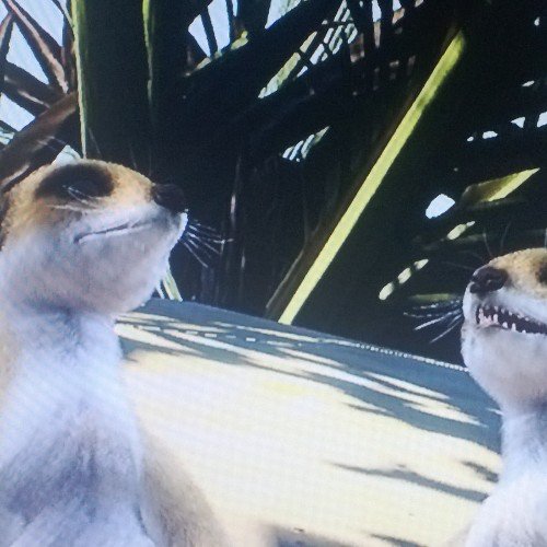 wedeskoperative's profile picture. 