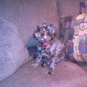 Beverly Spicer - @cookie320 - Twitter