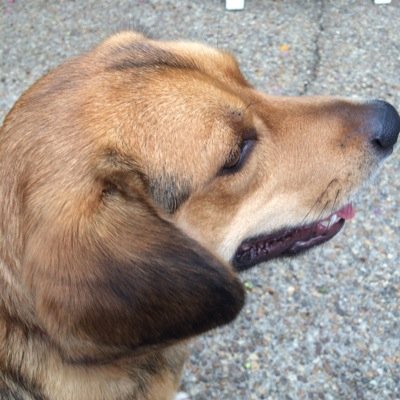 Don8273's profile picture. 