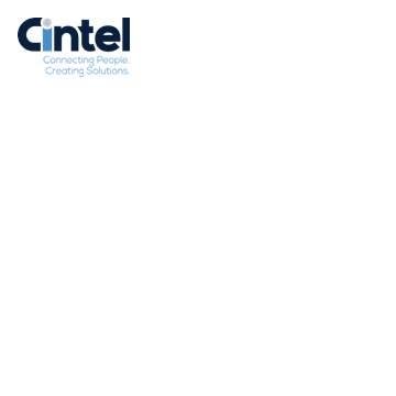 Cintel, Inc. supports Government & Commercial clients through Strategies & Services. We focus on connecting people & creating solutions.