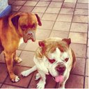 MIRIAM MUÑIZ BARRAL - @MIRIAMMUIZBARRA - Twitter