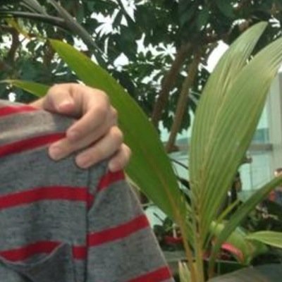 Hey whats up guys im moll I love cube smp That is all Get out of here u knuckleheads