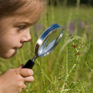 UTESKinC's profile picture. Our greatest natural resource is the minds of our children.  Upper Thames Elementary School