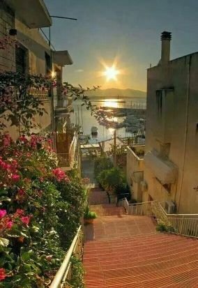 ROSETEA16's profile picture. 