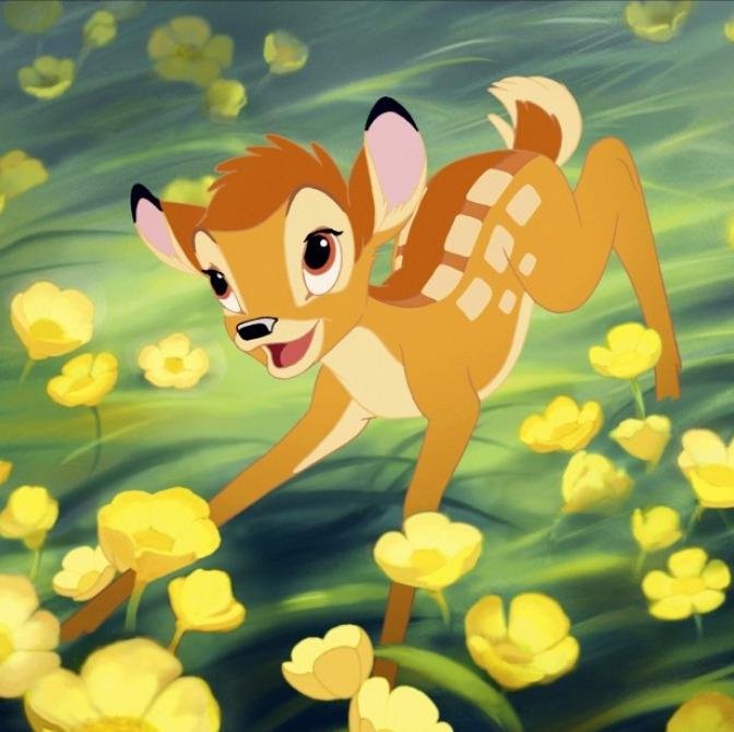 BambiSarvahe's profile picture. »Princeso del bosque« || Bambi se nase no se ase. || ¿Quieres un pezuñazo? || × Sambi × Pax × Alec × ||