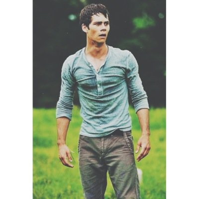 stydiasass's profile picture. look at all those chickenths