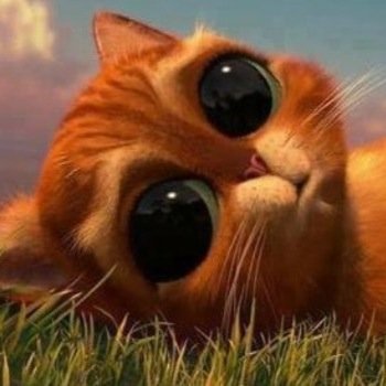 Fournier_'s profile picture. My life's a living soundtrack For a human horror film I can't feel And I can't love My mama never showed me how I never was enough