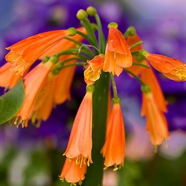 2100_KFU's profile picture. هُنا بالنسبة لي للقراءة فقط .