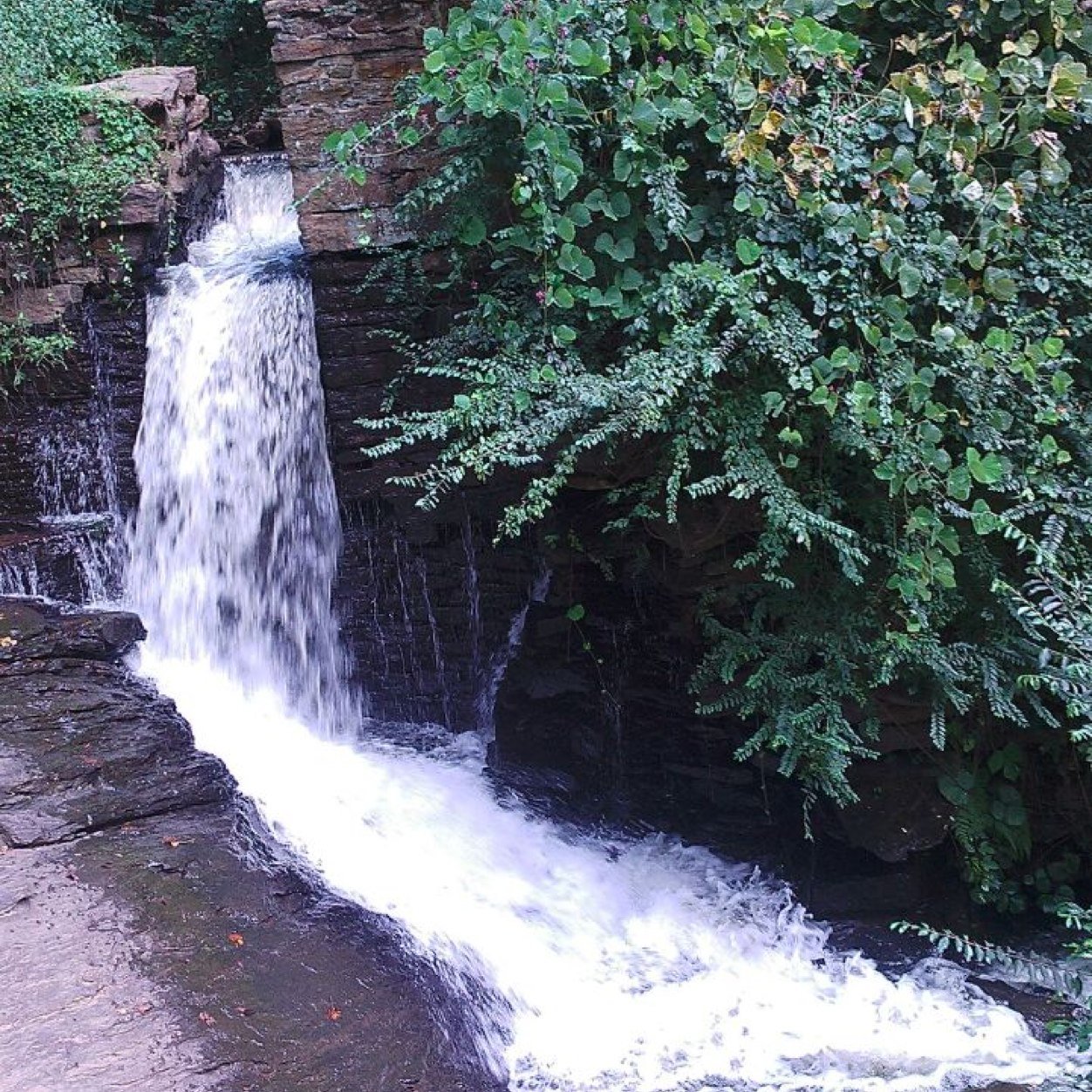 naymarcial's profile picture. l