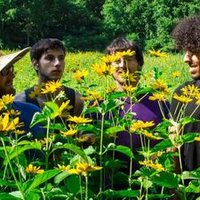 Jungle Gypsy (@junglegypsyband) 's Twitter Profile Photo