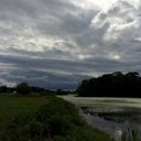 Anne Kendall - @appleanniefab - Twitter