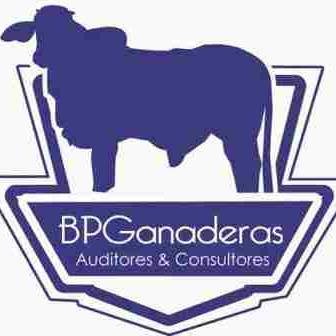 Implementamos programas ganaderos enfocados al mejoramiento de indicadores productivos, la calidad de sus productos y su venta en mercados especializados.