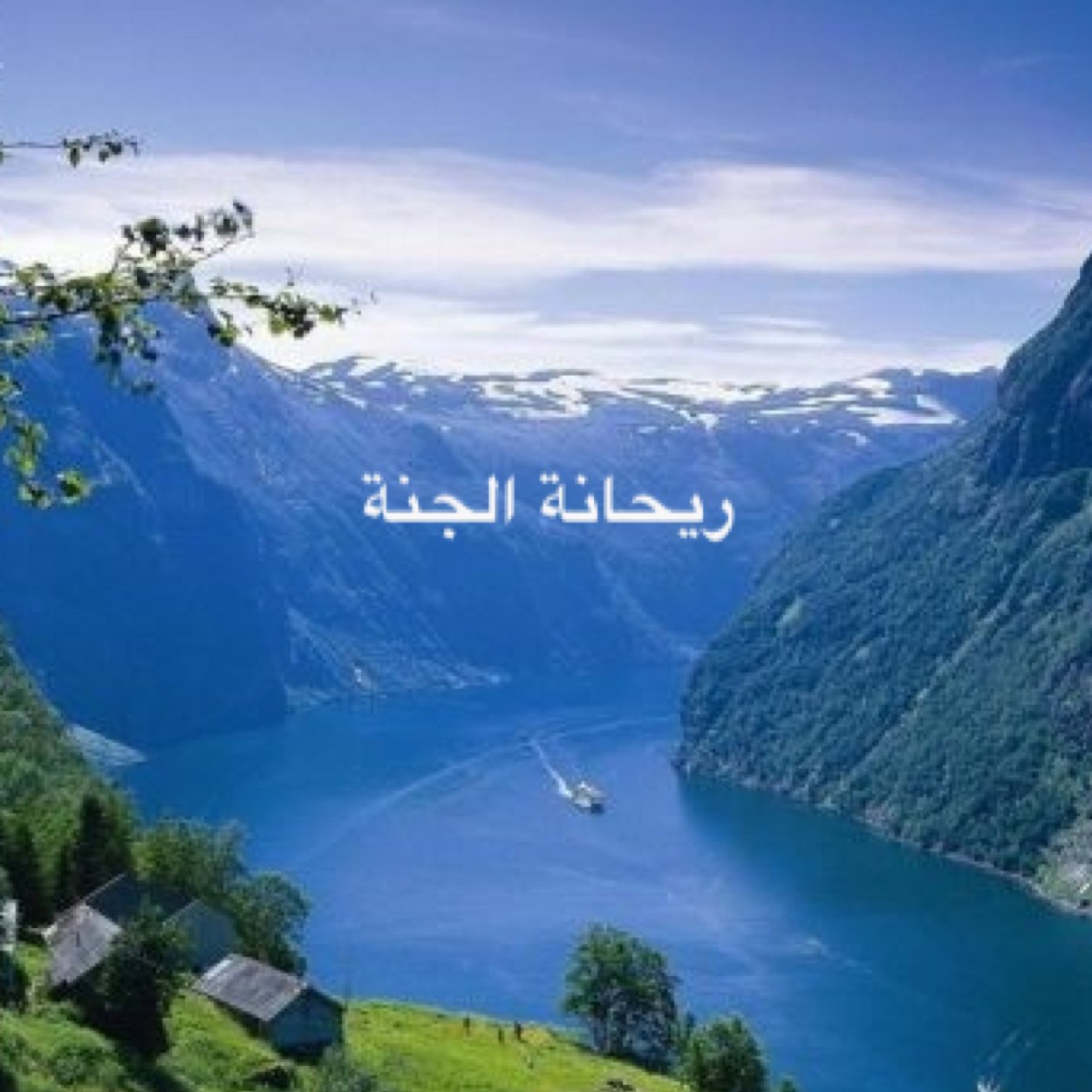 أسأل آللْہ أن يرضىَ عنيْ وعنكم ؛
فليس بعد رضى آلُلْہ إلآ الجنہ ♥