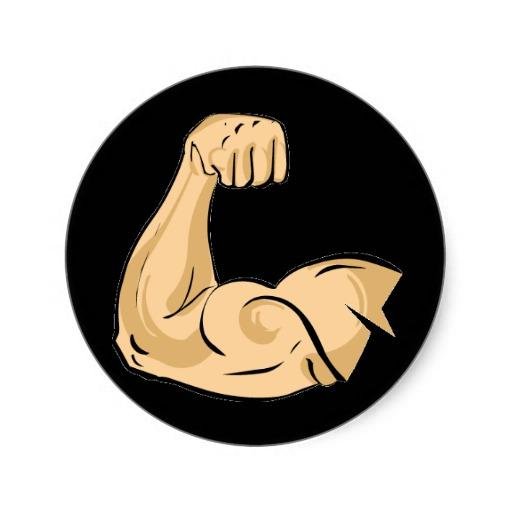 Get on that muscle tip breh! Follow for advice on building healthy muscle and free supplements. Business: SocBizGroup@Gmail.com