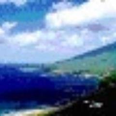 hachijyou3's profile picture. 八丈島の不動産　売買、賃貸