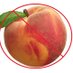 i did not come here (@toeatfruit) Twitter profile photo i did not come here (@toeatfruit) Twitter profile photo